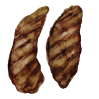 watercolor steak grill png