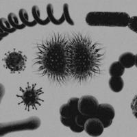 4K Image, Virus. Microscopic view of viruses. Cells, Black and White photo