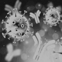 Imagen de 4k, virus. vista microscópica de virus. células, blanco y negro foto