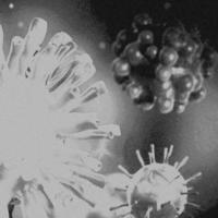 4K Image, Virus. Microscopic view of viruses. Cells, Black and White photo