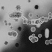 4K Image, Virus. Microscopic view of viruses. Cells, Black and White photo