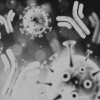 Imagen de 4k, virus. vista microscópica de virus. células, blanco y negro foto