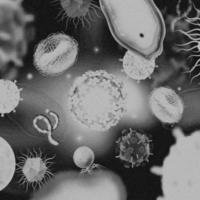 4K Image, Virus. Microscopic view of viruses. Cells, Black and White photo