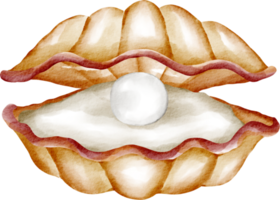 acquerello mollusco cartone animato png