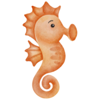 watercolor sea horse png