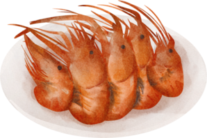 crevettes grillées à l'aquarelle png