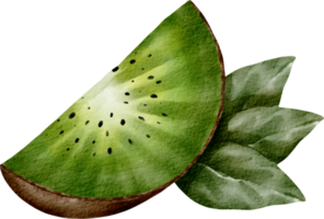 elemento de fruta kiwi em aquarela png