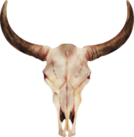 Toro cranio cowboy png