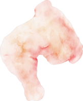 watercolor chicken leg png