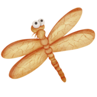 watercolor dragonfly animal element png