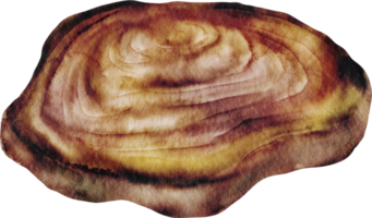 bûche en bois aquarelle png