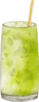 té verde matcha acuarela png