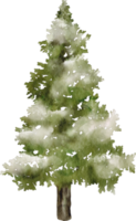 acquerello Natale albero png