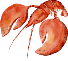 watercolor lobster sea animal png