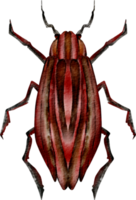 clip art de insecto acuarela png