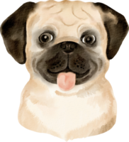 vattenfärg mops hund png