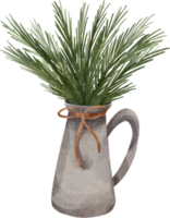 aquarel kamerplant png