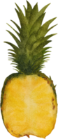 imágenes prediseñadas de piña acuarela png