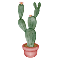 waterverf cactus pot png