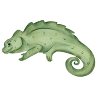 Élément animal caméléon aquarelle png