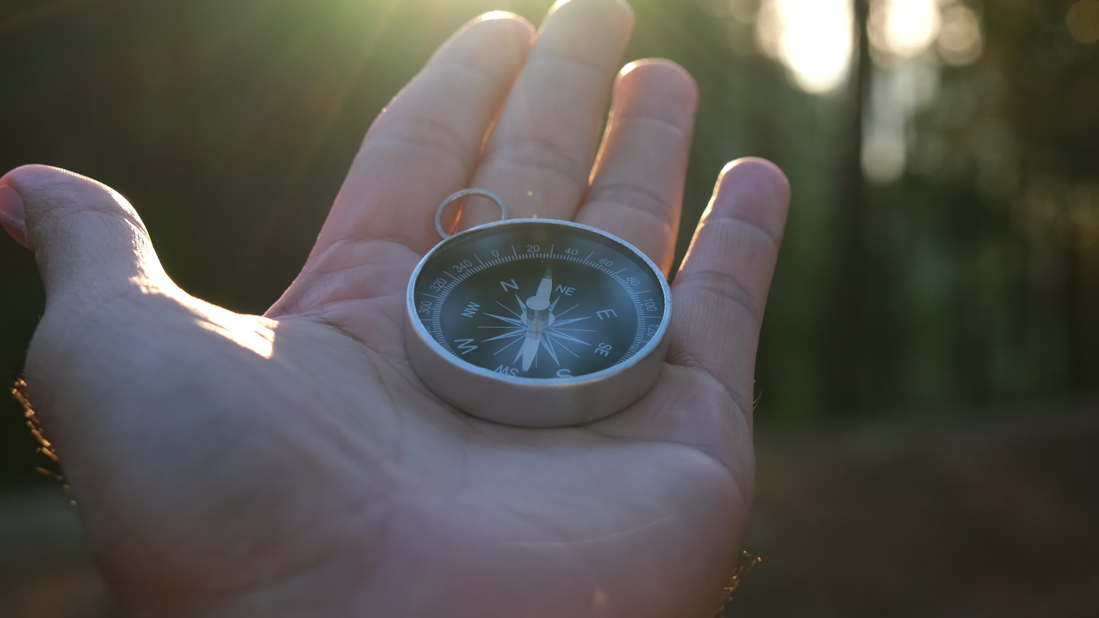 boussole à la main sur fond de forêt de pins naturels. main tenant la  boussole dans le paysage forestier. jeune voyageur à la recherche de  direction avec boussole dans les montagnes d'été.