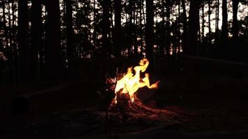 jeune randonneur tenant un brûleur de torche à gaz charbon de bois sur la cuisinière. un gaz d'hydrocarbure inflammable brûlant du charbon noir de bois dur pour griller la préparation des aliments. concept de voyage et de style de vie. video