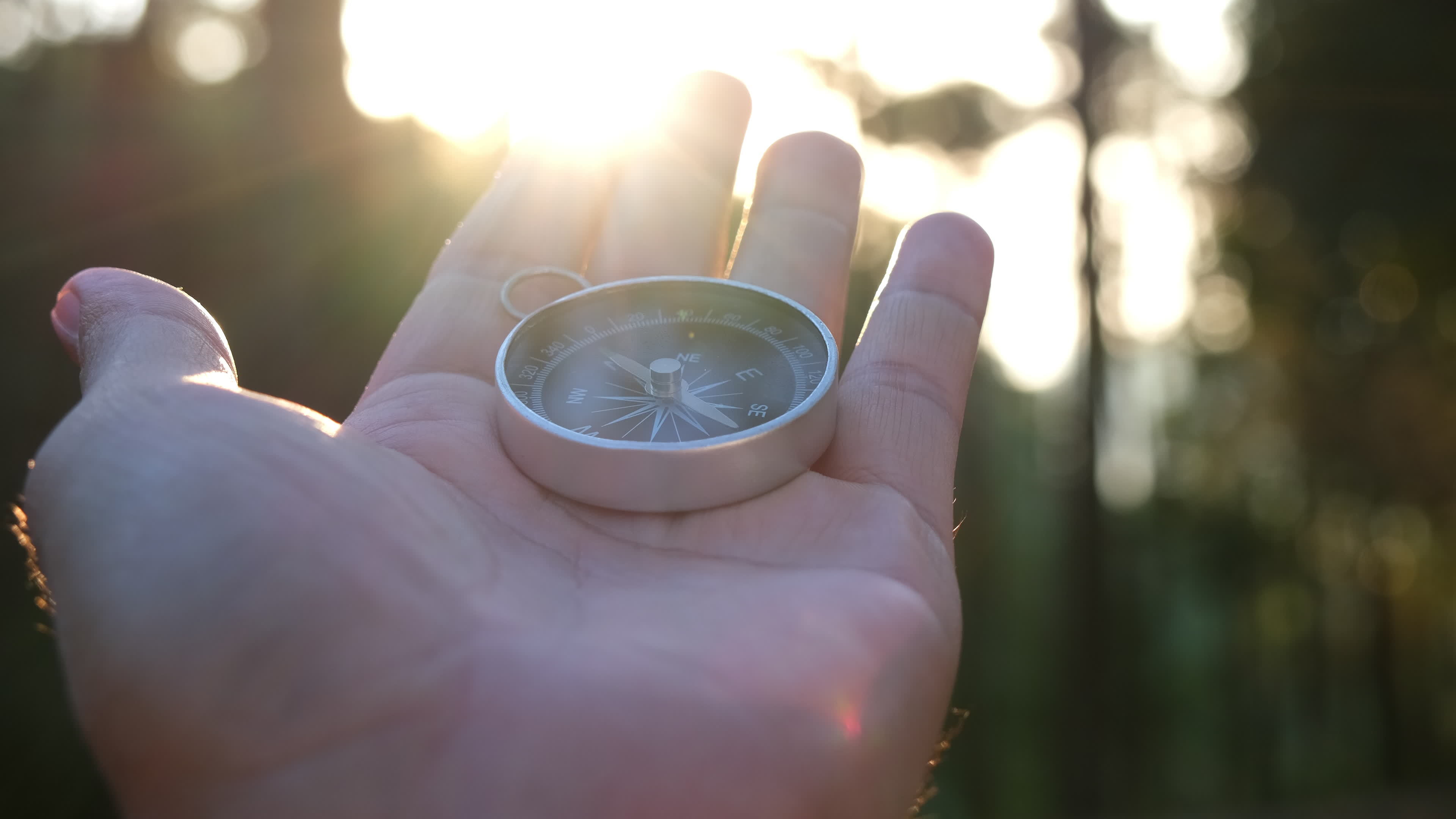 Compass in hand on natural pine forest background. hand holding compass
