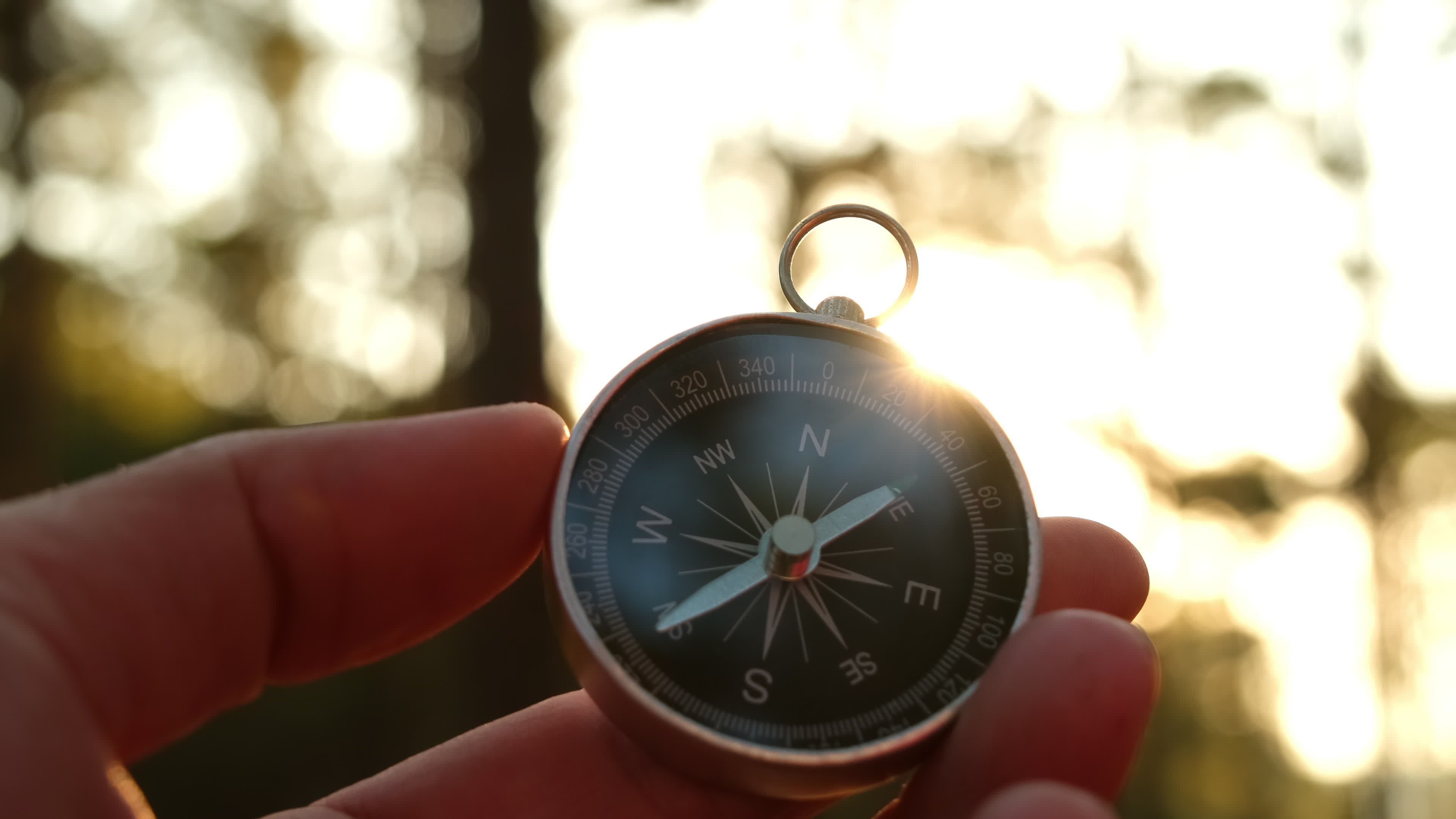 Compass in hand on natural pine forest background. hand holding compass