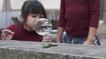 Two cute sisters are exploring and using a magnifying glass to observe wild caterpillars moving on planks. Cute Asian girl watching and learning caterpillars with magnifying glass.
