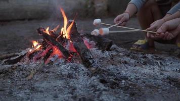 Cute little sisters roasting marshmallows on campfire. Children having fun at camp fire. Camping with children in winter pine forest. Happy family on vacation in nature. video