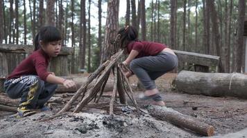 lindas hermanitas haciendo fogatas en bosques naturales. niños divirtiéndose en el fuego del campamento. acampar con niños en el bosque de pinos de invierno. familia feliz de vacaciones en la naturaleza. video