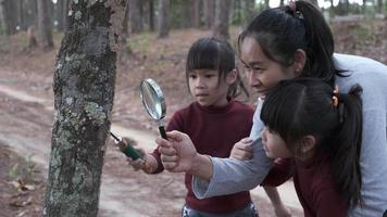 feliz mãe e filha explorando e usando lupa para observar insetos no tronco da árvore na floresta. família feliz de férias na natureza. video