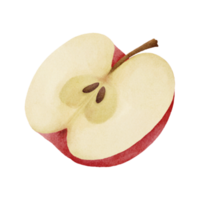 watercolor apple clip art