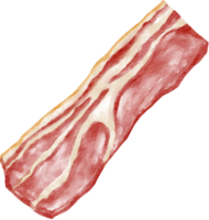 vattenfärg bacon element png