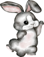 cute rabbit watercolor clip art png