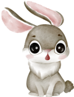 watercolor rabbit cute clip art png