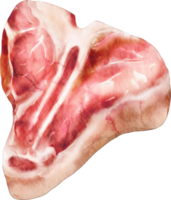 chuletón de acuarela png