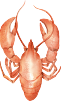 watercolor lobster sea food png