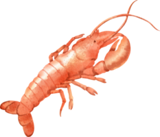 aquarelle homard fruits de mer png