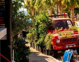 beautiful tropical city street photo