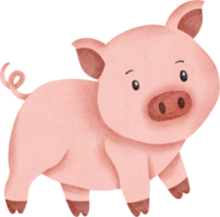 aquarelle de cochon mignon png