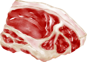 acquerello bistecca carne png