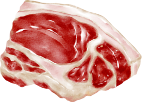 waterverf steak vlees png