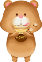 acquerello orso carino cartone animato png