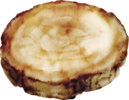 Aquarell Holzscheibe png