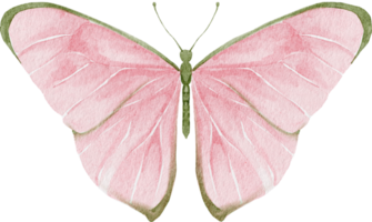 watercolor butterfly clip art png
