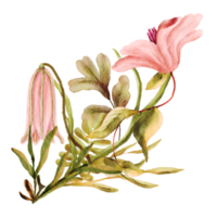 bordure de fleurs aquarelle png