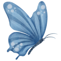 aquarelle papillon bleu png