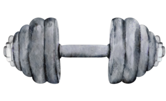 haltère de gym aquarelle png