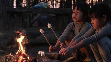 lindas hermanitas asando malvaviscos en una fogata. niños divirtiéndose en el fuego del campamento. acampar con niños en el bosque de pinos de invierno. familia feliz de vacaciones en la naturaleza. video